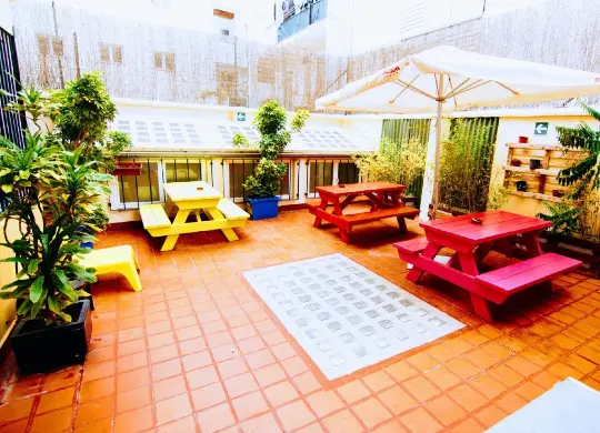 Auf Klassenfahrt mit HEROLÉ: Dachterrasse im Purple Nest Valencia