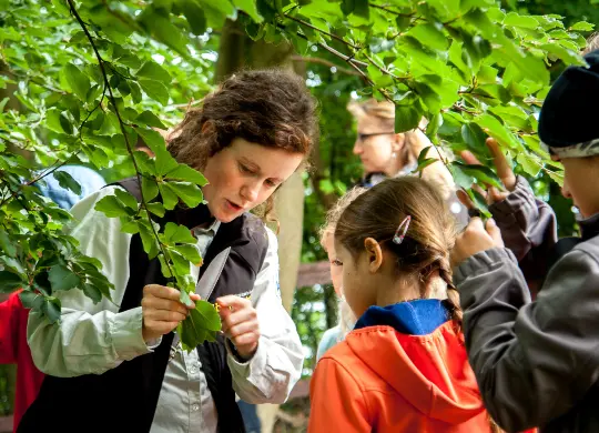 Auf Klassenfahrt mit HEROLÉ: Führung einer Schulklasse am Nationalparkzentrum Königsstuhl auf Rügen