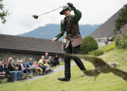 Auf Klassenfahrt mit HEROLÉ: Greifvogel-Flugvorführung auf der Burg Hohenwerfen