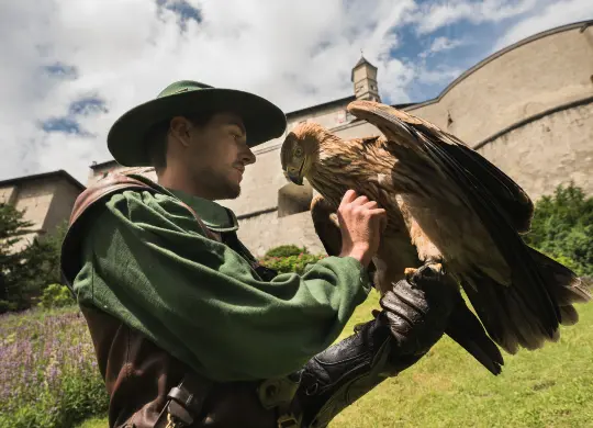 Auf Klassenfahrt mit HEROLÉ:  Hautnah erleben - Greifvögel auf der Burg Hohenwerfen