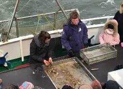 Auf Klassenfahrt mit HEROLÉ: Schiffsausflug mit Tierfang zu den Seehundbänken vor Sylt