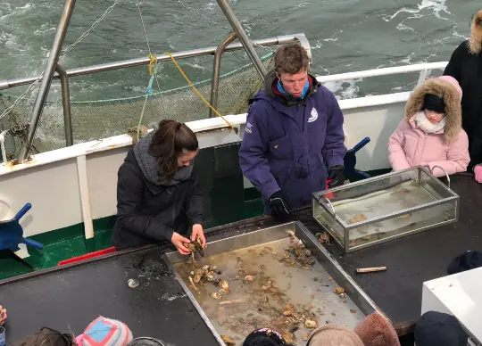 Schiffsausflug mit Tierfang zu den Seehundbänken vor Sylt Auf Klassenfahrt mit HEROLÉ: Schiffsausflug mit Tierfang zu den Seehundbänken vor Sylt