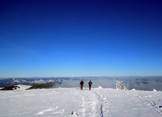 Auf Klassenfahrt mit HEROLÉ: Schneeschuhwanderung im Schwarzwald