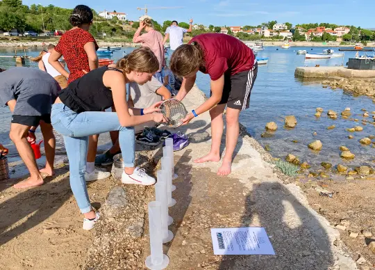 Schüler untersuchen Sedimentproben am Mittelmeer Auf Klassenfahrt mit HEROLÉ: In Istrien werden die Schüler selbst zu Forschern