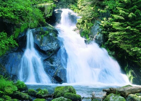 Klassenfahrten Schwarzwald - Unterer Hauptfall der Triberger Wasserfälle Klassenfahrten Schwarzwald - Blick auf einen Wasserfall