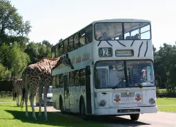 Auf Klassenfahrt mit HEROLÉ: Serengeti-Park Lüneburger Heide