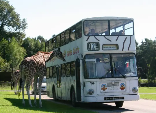 Auf Klassenfahrt mit HEROLÉ: Serengeti-Park Lüneburger Heide