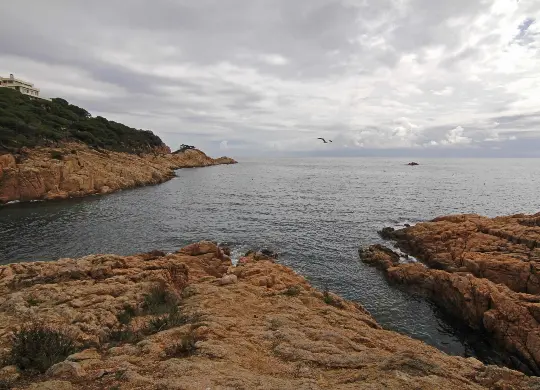 Auf Klassenfahrt mit HEROLÉ: Themenwanderung zum Thema Flora und Fauna in Katalonien