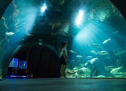 Themenwerkstatt Ozeaneum Stralsund Auf Klassenfahrt mit HEROLÉ: Themenwerkstatt Ozeaneum Stralsund