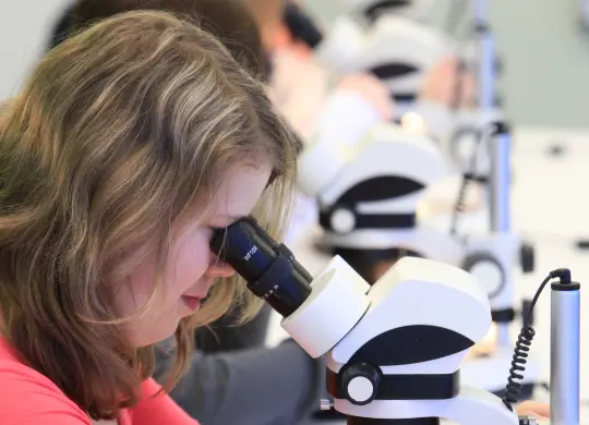 Auf Klassenfahrt mit HEROLÉ: Jugendliche am Mikroskop im Ozeaneum Stralsund