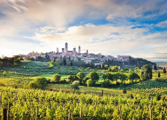 Auf Klassenfahrt mit HEROLÉ: Landschaftsbild mit San Gimignano als Hintergrund in der Toskana