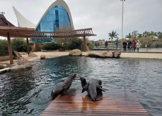 Valencia Auf Klassenfahrt mit HEROLÉ: Valencia