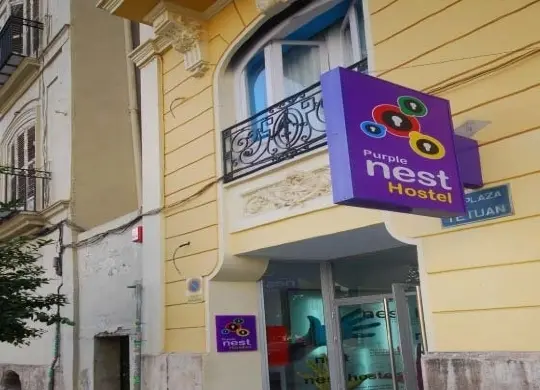 Auf Klassenfahrt mit HEROLÉ: Nächtigen Sie während Ihres Aufenthalts im Purple Nest Hostel in Valencia