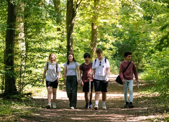 Waldspaziergang Auf Klassenfahrt mit HEROLÉ: Zusammen unterwegs im Wald