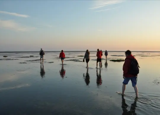 Wattenmeer der Nordsee Auf Klassenfahrt mit HEROLÉ: Wattenmeer der Nordsee.