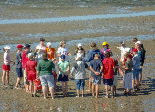 Wattführung an der Nordsee Auf Klassenfahrt mit HEROLÉ: Wattführung an der Nordsee