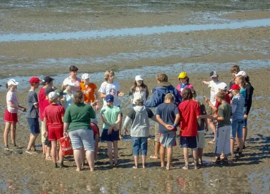 Wattführung an der Nordsee Auf Klassenfahrt mit HEROLÉ: Wattführung an der Nordsee