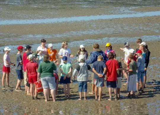 Auf Klassenfahrt mit HEROLÉ: Wattführung an der Nordsee