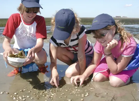 Auf Klassenfahrt mit HEROLÉ: Wattwanderung in Husum / Nordsee