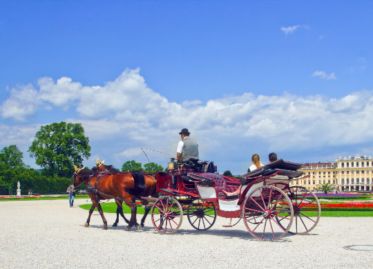 Jugendliche bei einer Kutschfahrt vor dem Schloss Schönbrunn in Wien Auf Klassenfahrt mit HEROLÉ: Bestaunen Sie auch das prunkvolle Schloss Schönbrunn in Wien