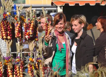 Auf Klassenfahrt mit HEROLÉ: Zwiebelmarkt in  Weimar.