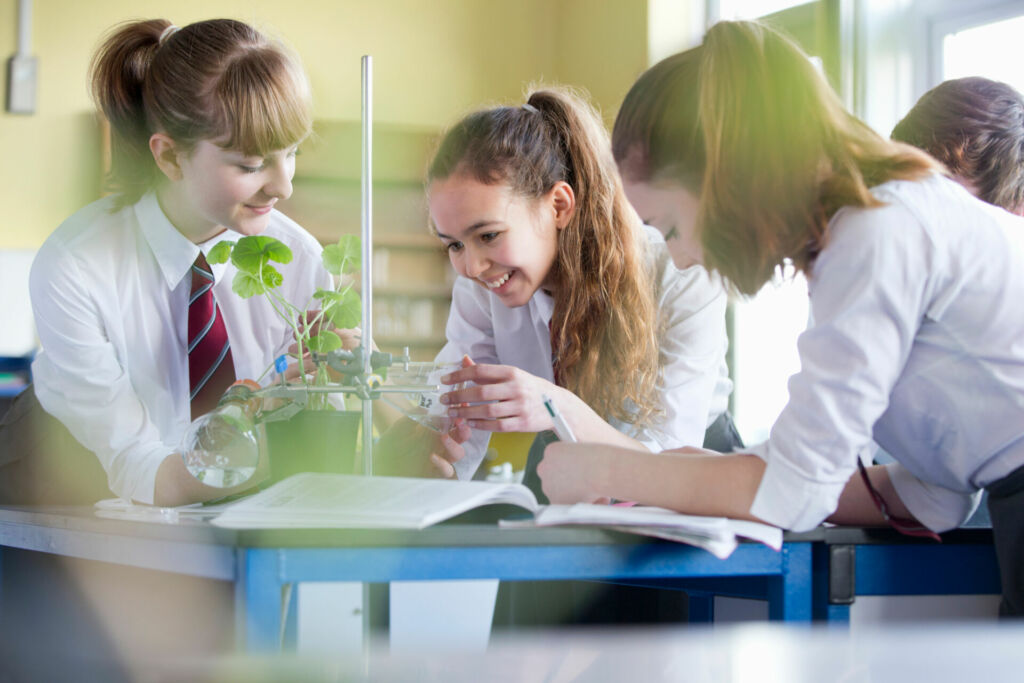 Schüler experimentieren am Mikroskop