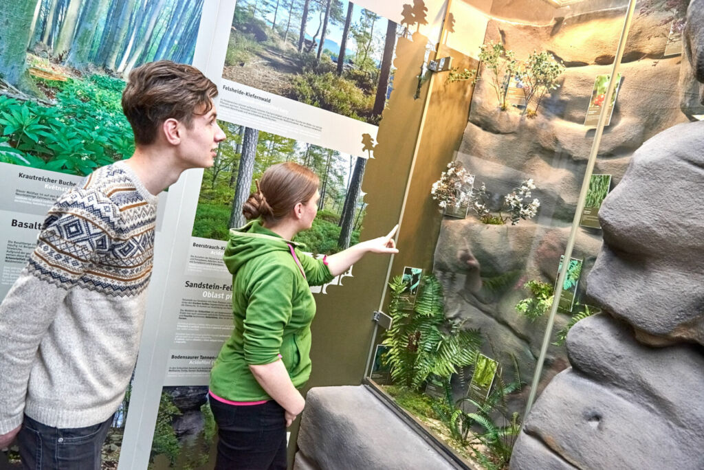 Auf Entdeckungstour im Nationalparkzentrum in Bad Schandau