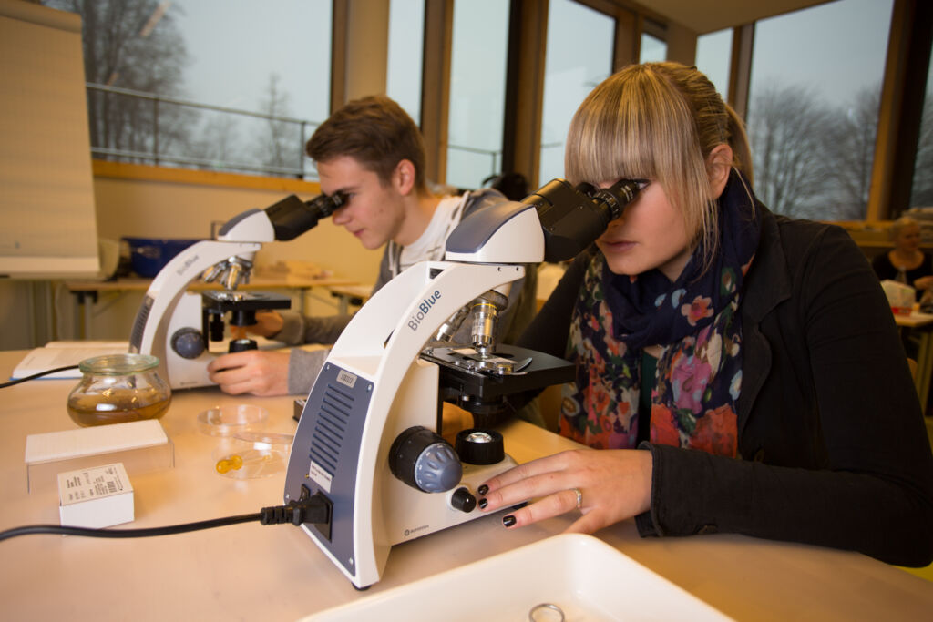 Auf der Fachreise Biologie Rügen