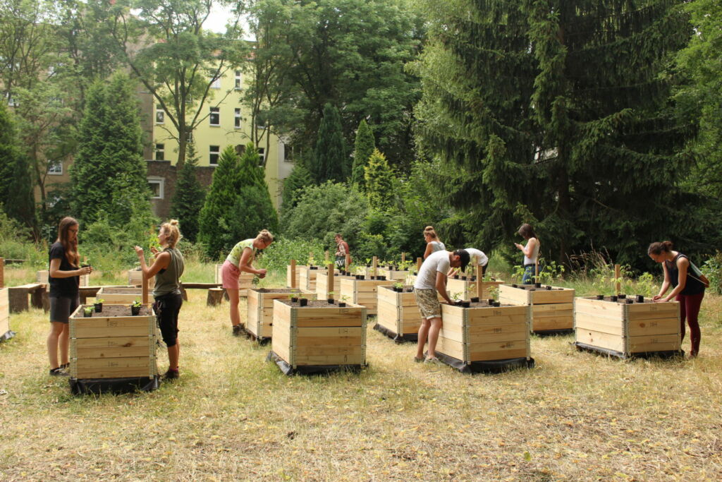 Führung zum ökologischen Anbau von Nutzpflanzen in Berlin