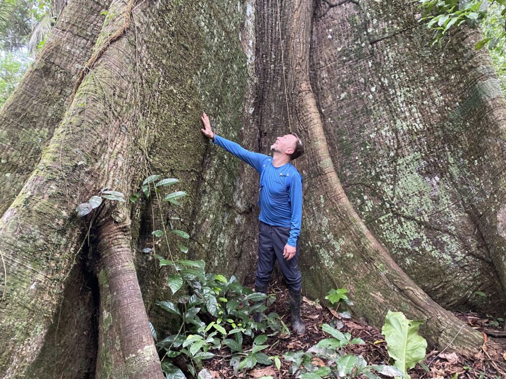 HEROLÉ Geschäftsführer Carsten Herold bei den Baumriesen im Amazonas-Regenwald Peru