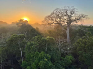 Peru - Wilderness International ©_Robert_Marc_Lehmann