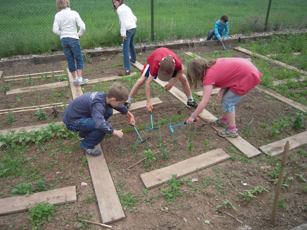 SuS sind fleißig im Schulgarten