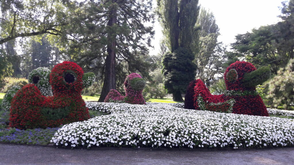 Die Blumeninsel Mainau am Bodensee lädt nicht nur zum Verweilen ein. Die Grüne Schule ist ein toller außerschulischer Lernort auf Klassenfahrt.