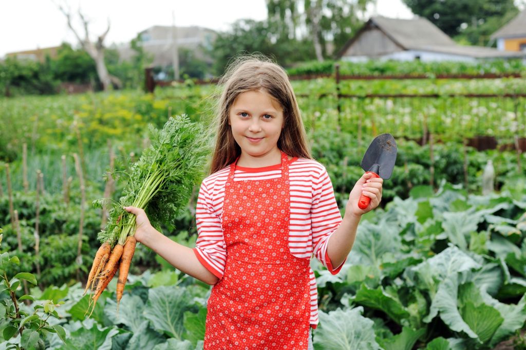 Wenn sich Schüler erst einmal für eine freiwillige Veranstaltung wie z.B. eine Garten-AG angemeldet haben, ist diese für den Rest des Schuljahres verpflichtend.