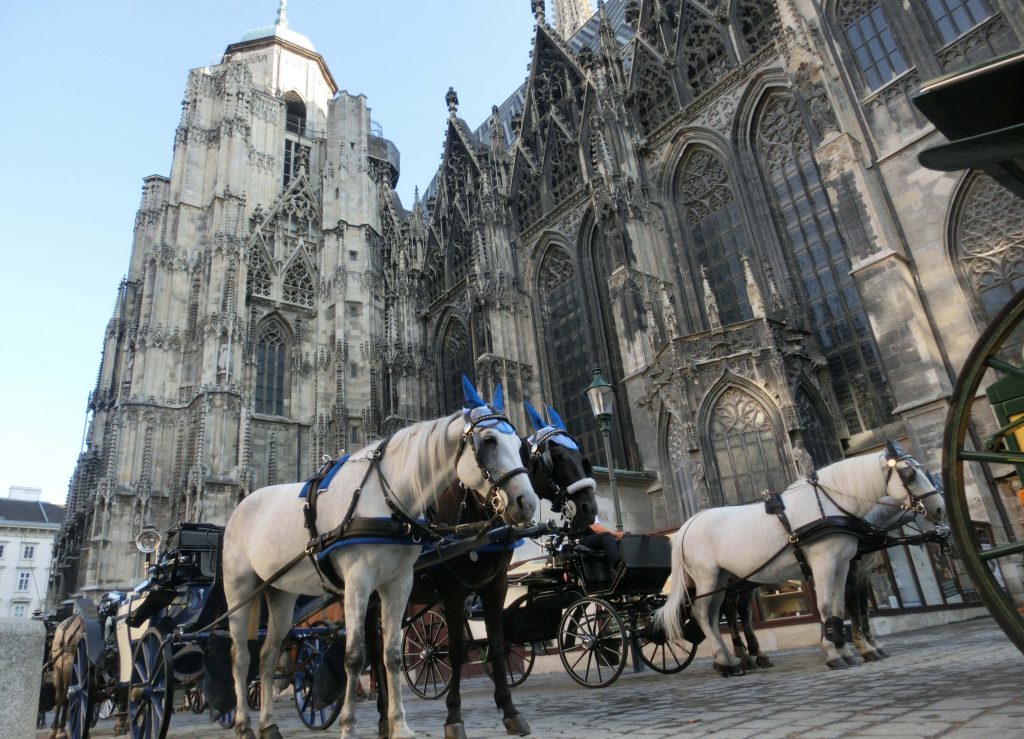 Blick auf einige Kutschen vor dem Stephansdom in Wien