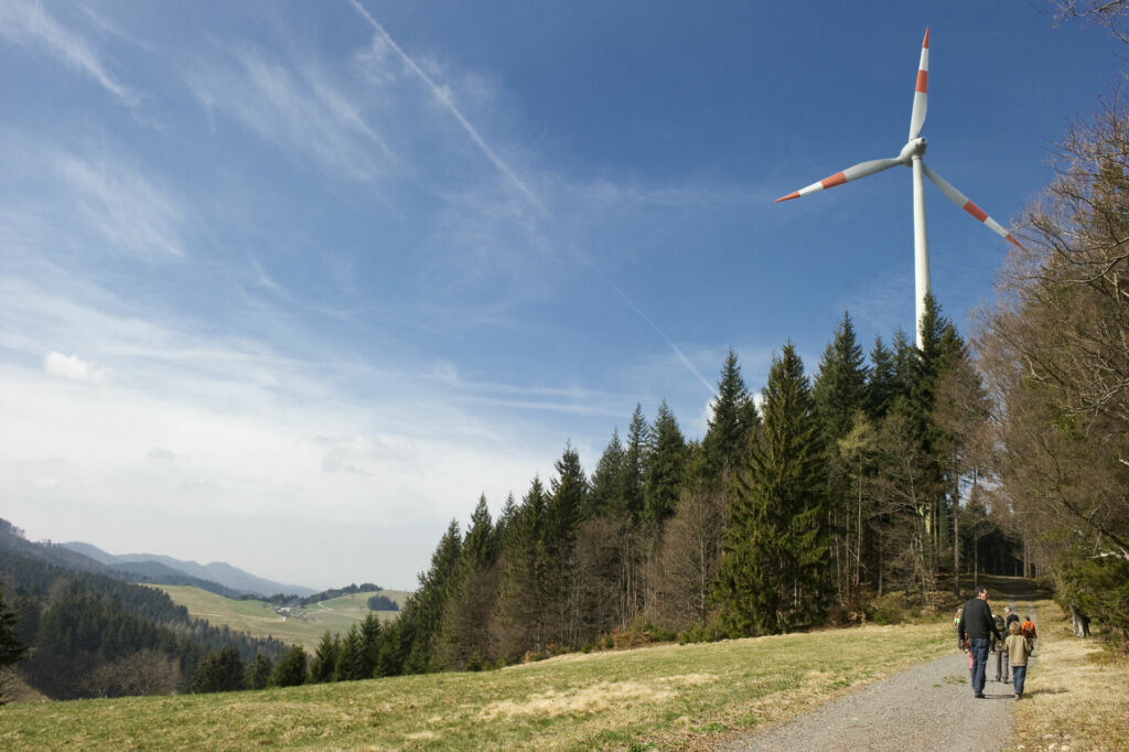 Windrad im Schwarzwald.