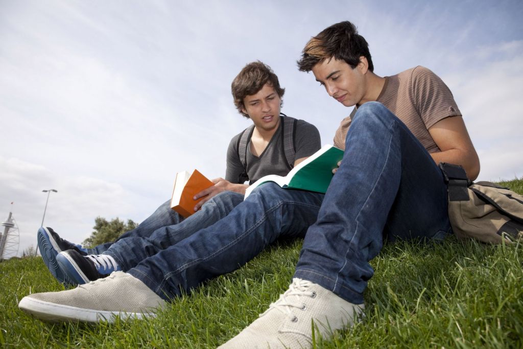 Blick auf zwei Jungs, die auf der Wiese ein Buch lesen